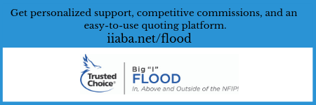 Big _I_ Flood (450 x 150).png